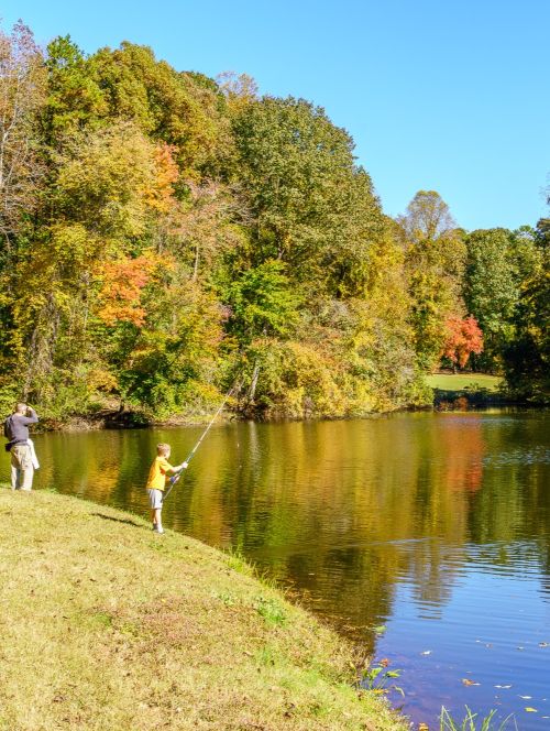20240730_Jay Sinclair - Tanglewood Park fall color (1)SSSDD
